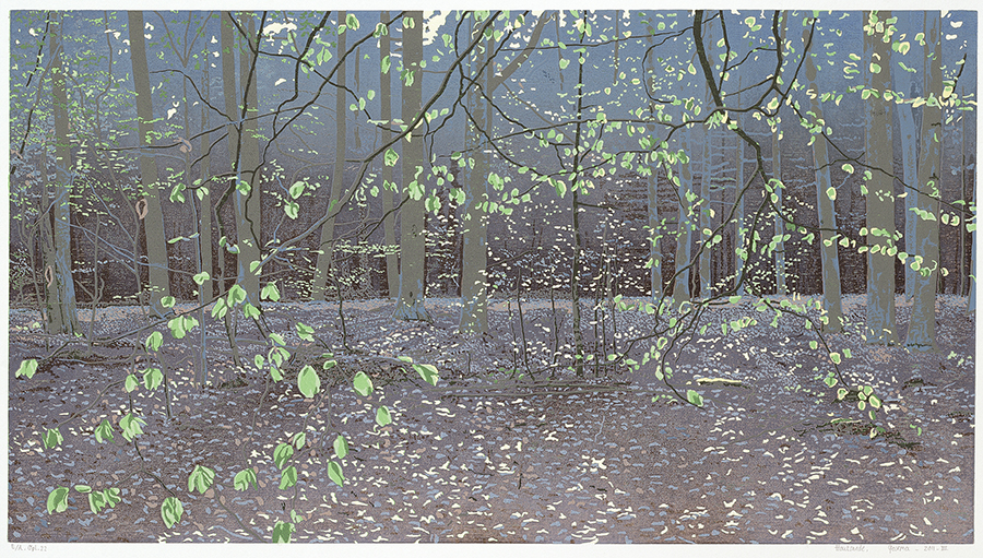 Landscape 2011-III - GRIETJE POSTMA - woodcut printed in colors