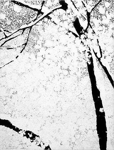 Snow Covered Trees - VOJTECH PREISSIG - aquatint
