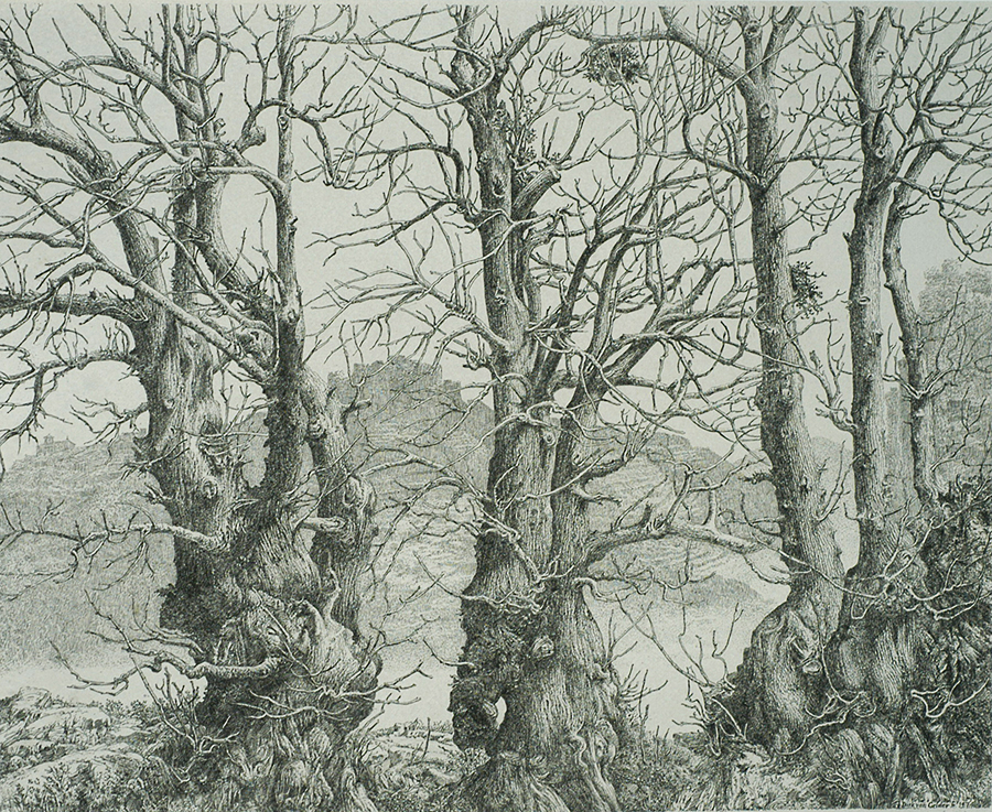 Three Trees (Drie Bomen) - DIRK VAN GELDER - etching with roulette