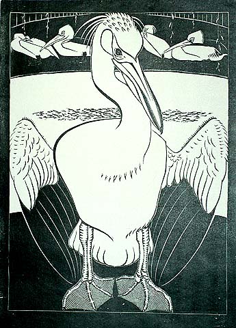 Pelican - JAN WITTENBERG - woodcut