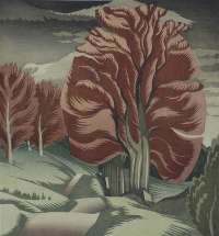 Beeches in Glen Lyon (Scotland) - CHEYNE