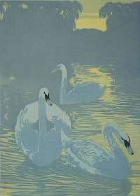 Swans -  NEUMANN