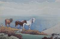 Spring on Dartmoor (England) -  SEABY