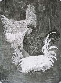 Three Hens (Drie Hanen) -  VAN HOYTEMA
