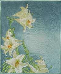 Lilies (Lilien) - THIEMANN