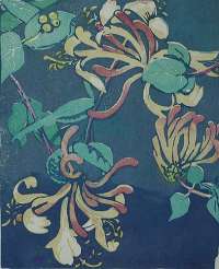 Honeysuckle -  ROYDS
