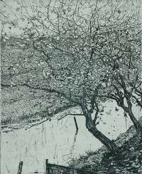 Appelboomen aan den Slootkant (Appletrees Along the Side of a Ditch) -  DUPONT