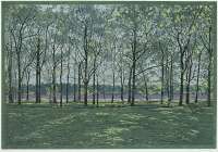 Landscape 2010-V -  POSTMA