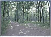 Landscape2013-III -  POSTMA