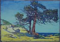 Coast Cedars -  PATTERSON