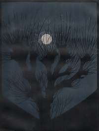 Moonlit Night (Maannacht) -  DE GRAAG