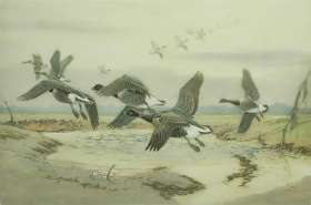 Black Geese - WINIFRED AUSTEN