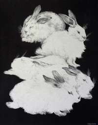 Five Angora Rabbits -  VAN HOYTEMA