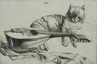 Cat and Mandolin -  AUSTIN