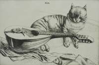 Cat and Mandolin - AUSTIN