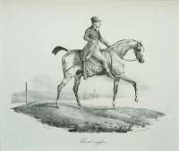 Cheval Anglais - GERICAULT
