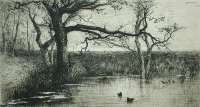 Pond with Ducks (Etang avec Canards) -  APPIAN