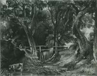 A Dell, Helmingham Park, Suffolk - LUCAS