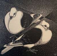 Two Birds in the Moonlight -  VERINGA