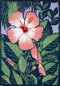 Pink Hibiscus -  TURZAK