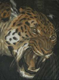 Leopard -  BRESSLERN-ROTH