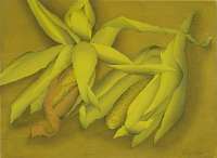 Dry Corn - RIST