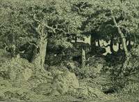 Le Cerisier de la Plante-à-Biau (The Cherry Tree at La Plante-à-Biau) -  ROUSSEAU