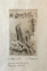 Woman Picking Cabbages (Femme Cueillant des Choses) -  PISSARRO
