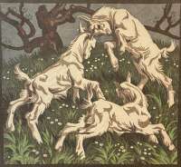 Youth (Jugend) -  BRESSLERN-ROTH