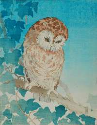 The Tawny Owl - ARMITAGE