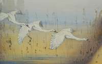 Three Swans -  SEABY