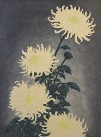 Chrysanthemums -  THIEMANN