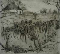 Farmhouse with a Kalefield in the Foreground - ALTINK