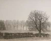 Winter Landscape with a Large Tree (Winterlandschap met en Grote Boom) -  DONKER