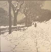 Winter (Hohe Warte in Wien) -  MOLL