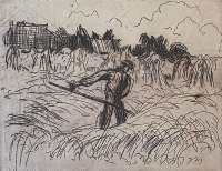 Man Harvesting - ALTINK