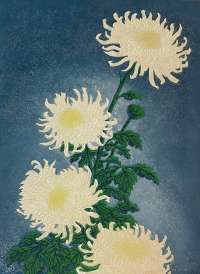 Chrysantheums  -  THIEMANN