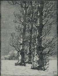 Winter - THIEMANN