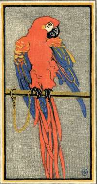 Red Macaw -  NORTON