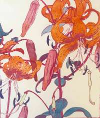 Orange Tiger Lilies - ROYDS