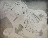 Sinuous Abstraction - BLACKBURN