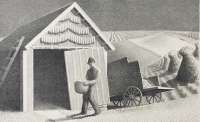 Seed Time and Harvest - WOOD