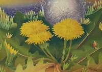 Dandelions - RIST