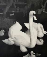Swans (The Family Outing) -  BUFF