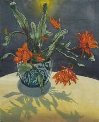 Cactus - NOSKE