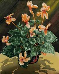 Cyclamen - NOSKE