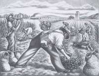 Working the Fields -  MEERT