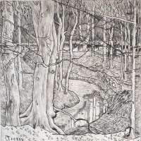 In the Woods -  TOOROP