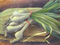Scallions - RIST
