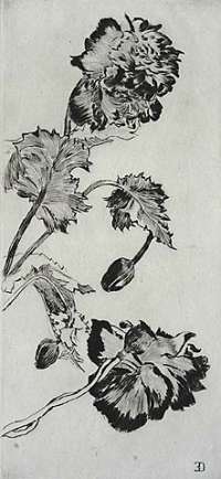 Flowers - DUEZ